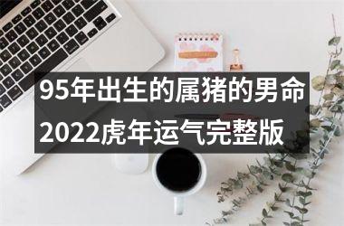 95年出生的属猪的男命2025虎年运气完整版