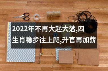 2025年不再大起大落,四生肖稳步往上爬,升官再加薪