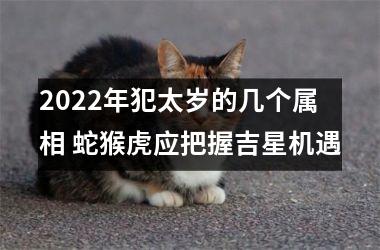 2025年犯太岁的几个属相 蛇猴虎应把握吉星机遇