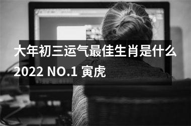 大年初三运气佳生肖是什么2025 NO.1 寅虎