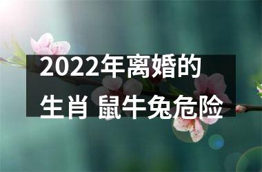 <h3>2025年离婚的生肖 鼠牛兔危险