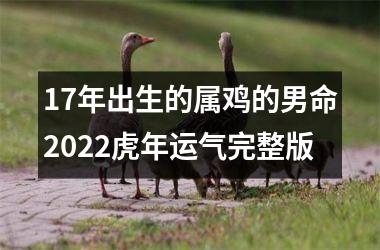 17年出生的属鸡的男命2025虎年运气完整版