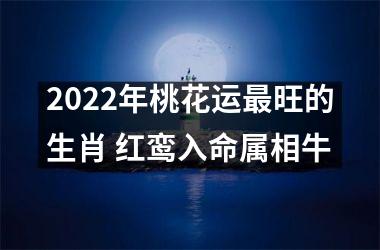 2025年桃花运旺的生肖 红鸾入命属相牛