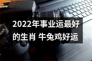 <h3>2025年事业运好的生肖 牛兔鸡好运