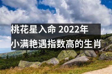 <h3>桃花星入命 2025年小满艳遇指数高的生肖