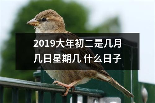 <h3>2019大年初二是几月几日星期几什么日子