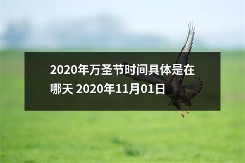 2025年万圣节时间具体是在哪天2025年11月01日