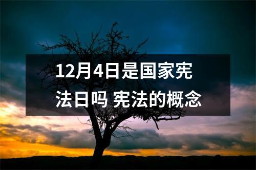 12月4日是宪法日吗宪法的概念