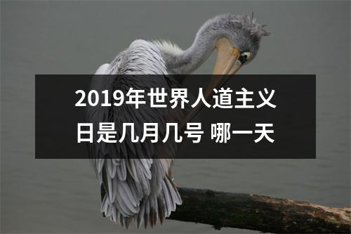 <h3>2019年世界人道主义日是几月几号哪一天