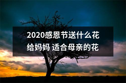 2025感恩节送什么花给妈妈适合母亲的花