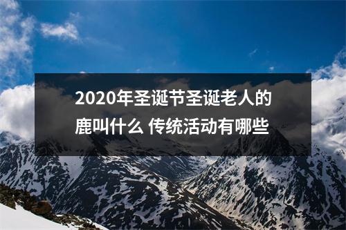 2025年圣诞节圣诞老人的鹿叫什么传统活动有哪些