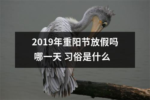 2019年重阳节放假吗哪一天习俗是什么