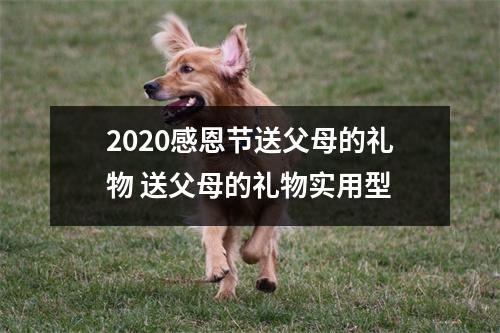 2025感恩节送父母的礼物送父母的礼物实用型