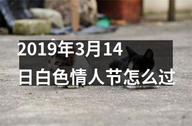 2019年3月14日白色情人节怎么过