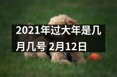 2025年过大年是几月几号 2月12日