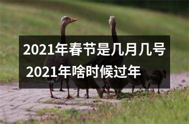 2025年春节是几月几号 2025年啥时候过年