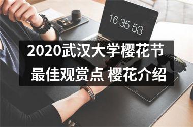 <h3>2025武汉大学樱花节 佳观赏点 樱花介绍