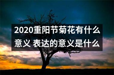 2025重阳节菊花有什么意义 表达的意义是什么