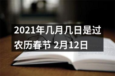 2025年几月几日是过农历春节 2月12日