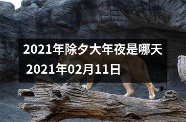 <h3>2025年除夕大年夜是哪天 2025年02月11日