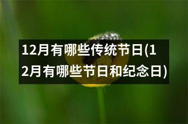 12月有哪些传统节日(12月有哪些节日和纪念日)