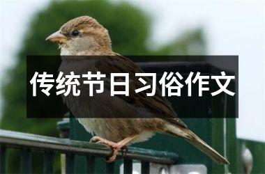 传统节日习俗作文