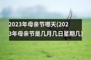 <h3>2025年母亲节哪天(2025年母亲节是几月几日星期几)