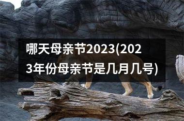 哪天母亲节2025(2025年份母亲节是几月几号)