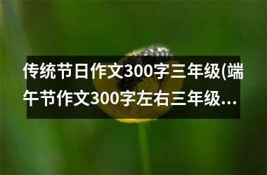 传统节日作文300字三年级(端午节作文300字左右三年级)