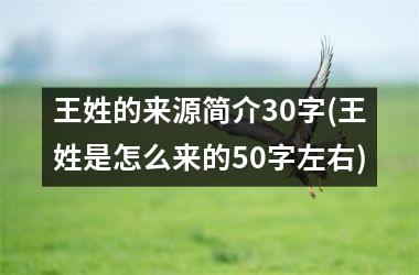 <h3>王姓的来源简介30字(王姓是怎么来的50字左右)