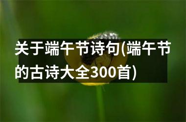 <h3>关于端午节诗句(端午节的古诗大全300首)