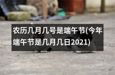 农历几月几号是端午节(今年端午节是几月几日2025)