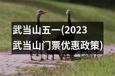 武当山五一(2025武当山门票优惠政策)