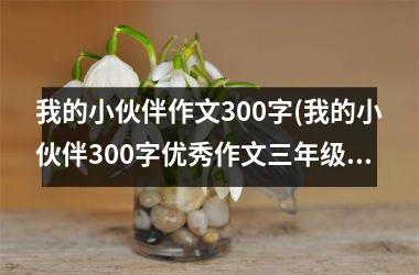 我的小伙伴作文300字(我的小伙伴300字优秀作文三年级)