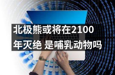 北极熊或将在2100年灭绝 是哺乳动物吗