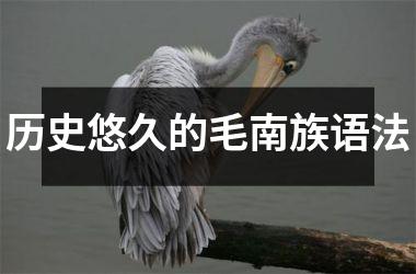 历史悠久的毛南族语法