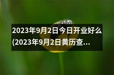 2025年9月2日今日开业好么(2025年9月2日黄历查询)