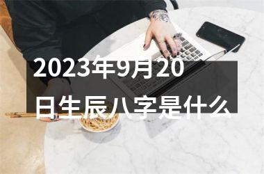 2025年9月20日生辰八字是什么