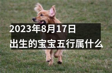 <h3>2025年8月17日出生的宝宝五行属什么