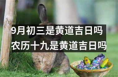 9月初三是黄道吉日吗 农历十九是黄道吉日吗