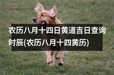 农历八月十四日黄道吉日查询时辰(农历八月十四黄历)