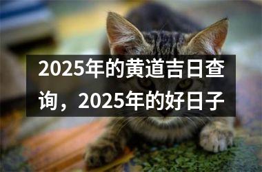 2025年的黄道吉日查询，2025年的好日子