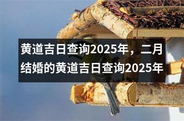 黄道吉日查询2025年，二月结婚的黄道吉日查询2025年