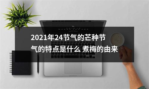 <h3>2025年24节气的芒种节气的特点是什么煮梅的由来