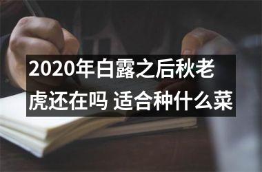 <h3>2025年白露之后秋老虎还在吗 适合种什么菜