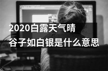 <h3>2025白露天气晴 谷子如白银是什么意思