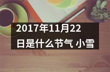 <h3>2017年11月22日是什么节气 小雪