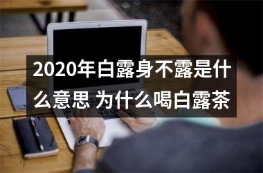 <h3>2025年白露身不露是什么意思 为什么喝白露茶