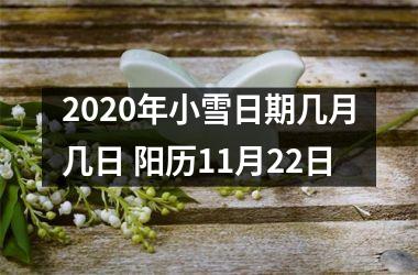 <h3>2025年小雪日期几月几日 阳历11月22日