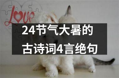 <h3>24节气大暑的古诗词4言绝句